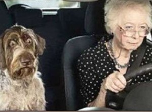 grandma driving
